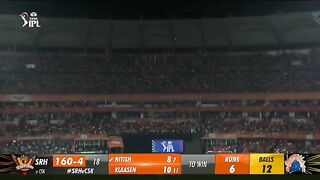 Cricket