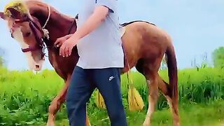 My best friend horse video