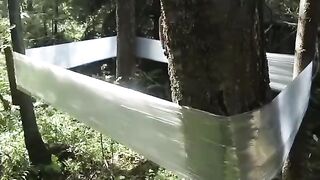 adventure