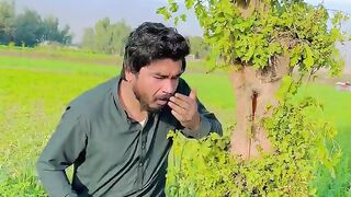 Funny  darakht se honey nikal aya