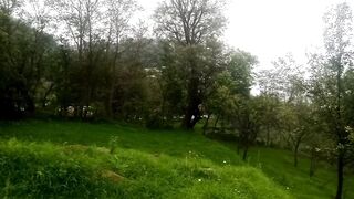 Beautiful weather in murree /beautiful greenish grass in murree
