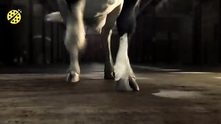 FUNNY_COW_DANCE_10_│_Cow_Song_&_Cow_Videos_2023