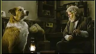 Animal  Dog