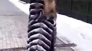 МОДА