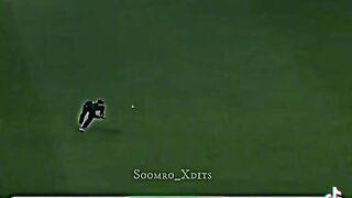 Best cricket