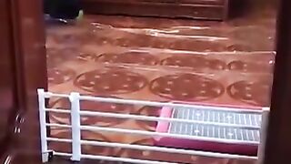 #Funny cat