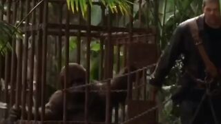 funny monkey Punjabi remix