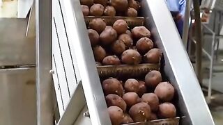 Factory Making of creamy Onion potato Chips