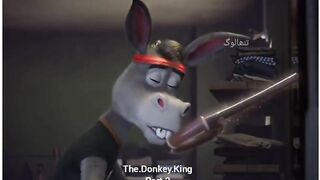 Donkey king