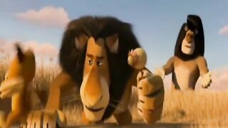 Lion punjabi clip ????????????????????????