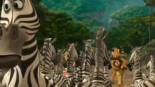funny-clip of lion and zebra punjabi remix