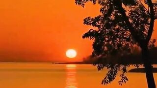Urdu poetry