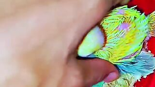 Yellow and green ll can