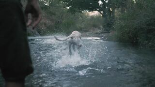 the dog