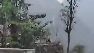 waterfalls and birds
