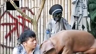 Animals wait for eat????????????#febspot