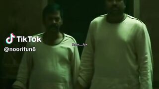 Funny videos