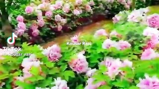 Old song India