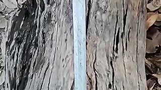 Hand Made Viking sword.