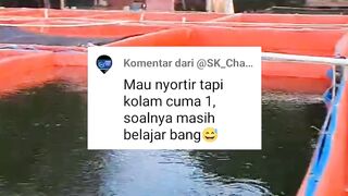 RESIKO budidaya ikan lele 1 kolam❗Mau SORTIR jadi bingung