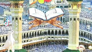 Mashallah
