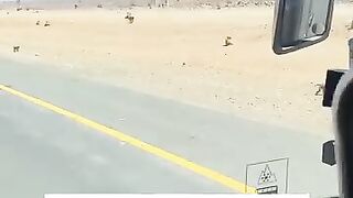 سبحان الله