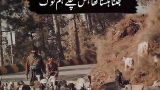 Poetry and murshid