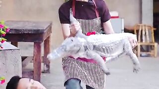 Chiness people eat crocodile