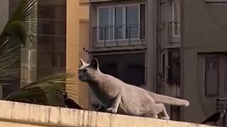 Respect || Amazing Video #50
