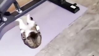 Workout