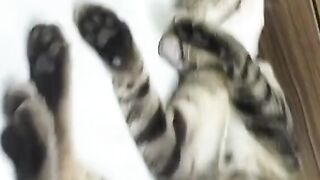 My caty deep sleep well
