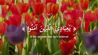 Beautifull tilawat