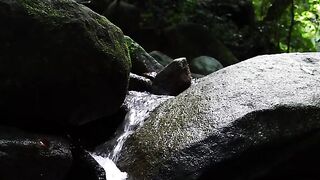The Sound of Splashing Water