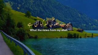 ????????????میرے اللّه کی کیا خبر آی ہے , allah, foryou, shorts, shortsfeed, viralshorts,