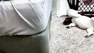 Funny Animal Videos Of The Day 0030_ ---- _fyp _memes _memedaily _dankmemes