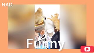 Funny