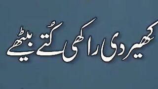 Punjabi Shari
