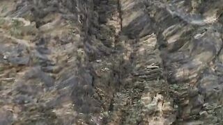 Monkeys scared of a drone following them in the Saudi Mountains