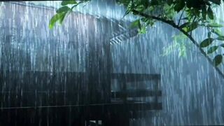 A Rainy View