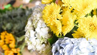"Flower Harmony: Embracing Nature's Blossoming Beauty"