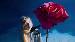 "Enchanted Blooms: Discovering Nature's Floral Magic"