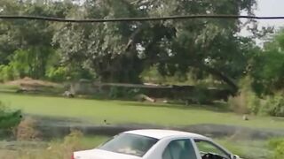 shooter sine/funny video/
