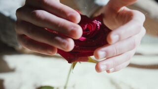 "Floral Fusion: Nature's Vibrant Tapestry"