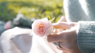 "Flower Fields Forever: Exploring Nature's Blossoming Beauty"