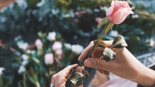 "Floral Dreams: Nature's Blossoming Wonders"