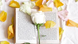 "Flower Fables: Exploring Nature's Botanical Symphony"