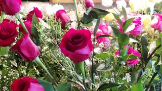 "Floral Euphoria: Nature's Breathtaking Blossoms"