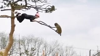Naughty monkey????#febspot #funny