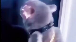 My bestie sing a song