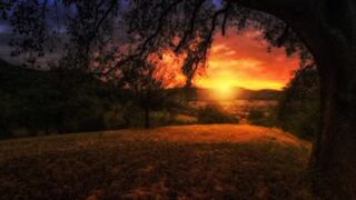 Tilawat surah e ateen|Beautiful voice|by qari kafeel